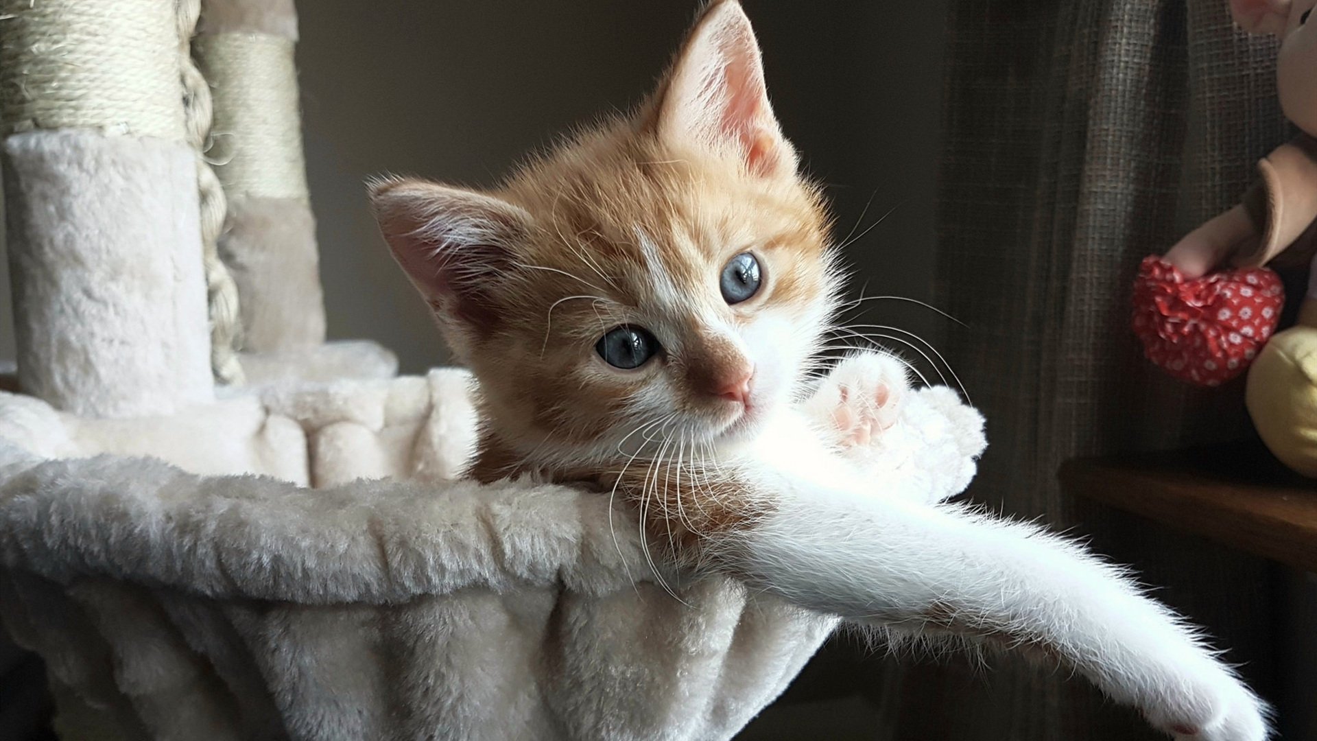 日本男足奥运首战告捷，表现抢眼，奥运男足日本队