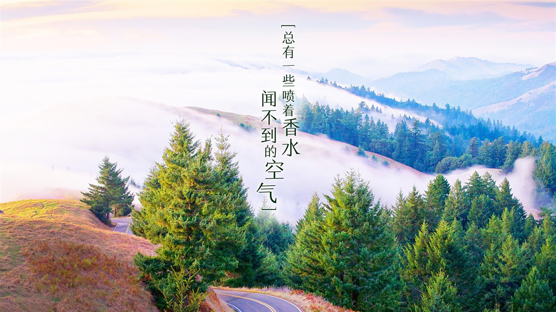【粉丝狂欢】支持球队的庆祝活动,足球俱乐部粉丝