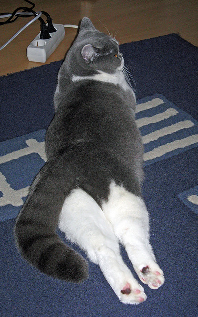 史上最大“黑马军团”逆转夺冠,神话成就!,黑马军团是什么电视剧