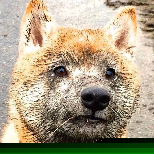 大型趣味空中跳绳比赛,运动与娱乐的完美融合,空中跳跳