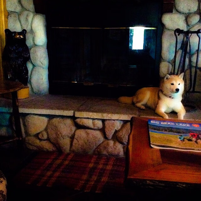 开云入口-摩洛哥马术协会与非洲马术协会开展技术援助项目，提升当地水平。